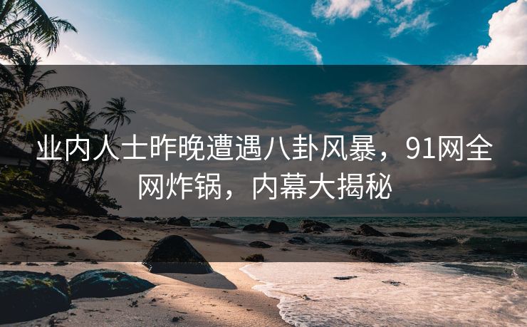 业内人士昨晚遭遇八卦风暴，91网全网炸锅，内幕大揭秘