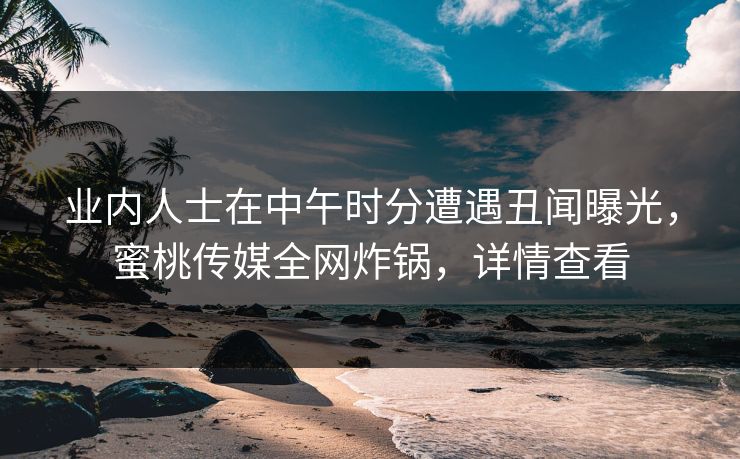 业内人士在中午时分遭遇丑闻曝光，蜜桃传媒全网炸锅，详情查看