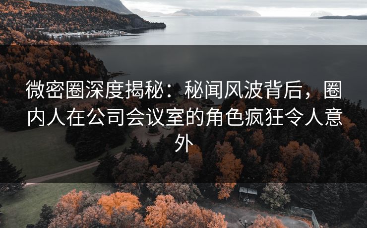 微密圈深度揭秘：秘闻风波背后，圈内人在公司会议室的角色疯狂令人意外