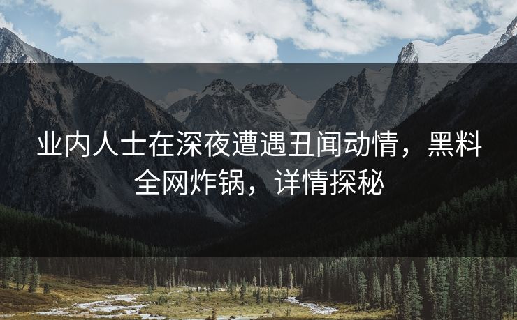 业内人士在深夜遭遇丑闻动情，黑料全网炸锅，详情探秘