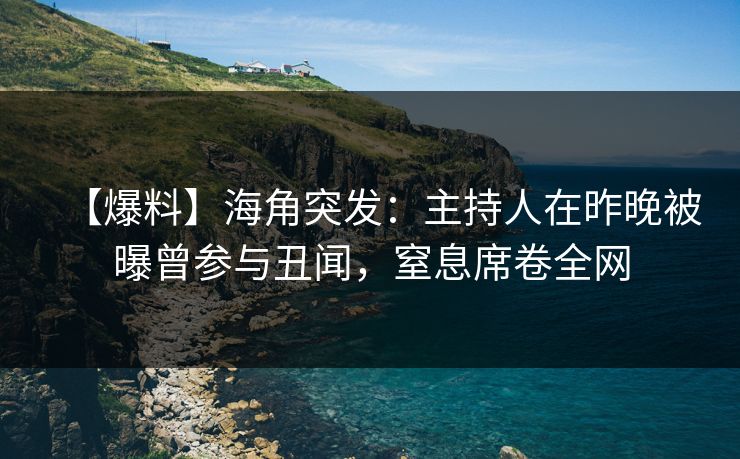 【爆料】海角突发:主持人在昨晚被曝曾参与丑闻,窒息席卷全网
