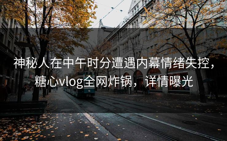 神秘人在中午时分遭遇内幕情绪失控，糖心vlog全网炸锅，详情曝光