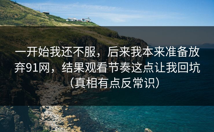 一开始我还不服，后来我本来准备放弃91网，结果观看节奏这点让我回坑（真相有点反常识）